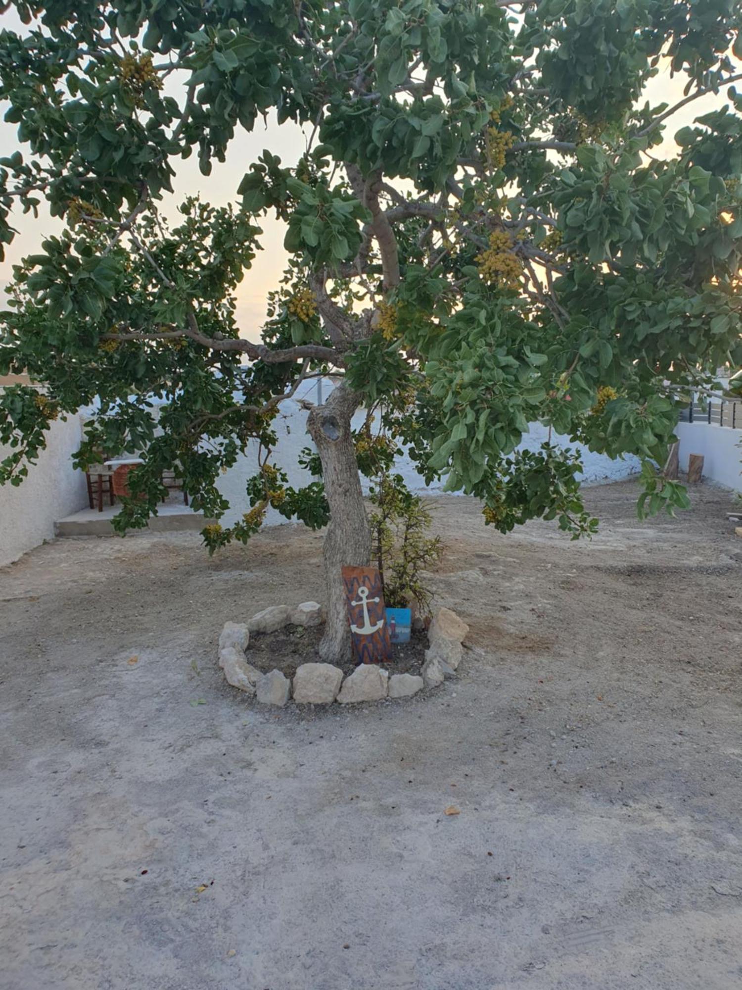 Da Vinci Kavouropetra Villa Aegina Ngoại thất bức ảnh