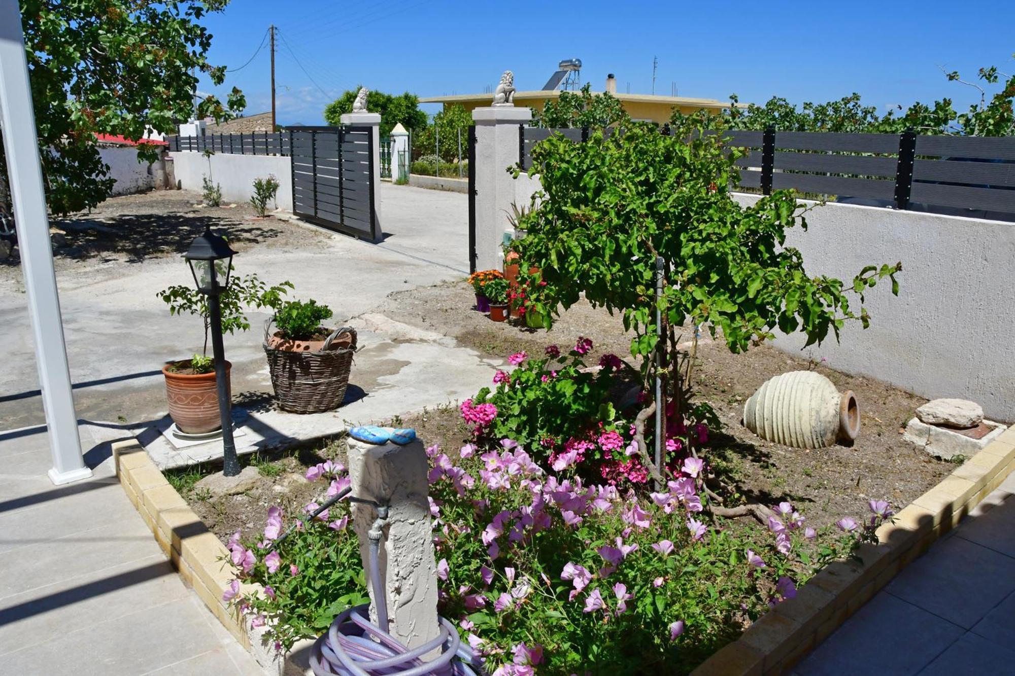 Da Vinci Kavouropetra Villa Aegina Ngoại thất bức ảnh